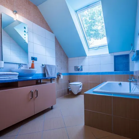 Guest house U Lisky 4*